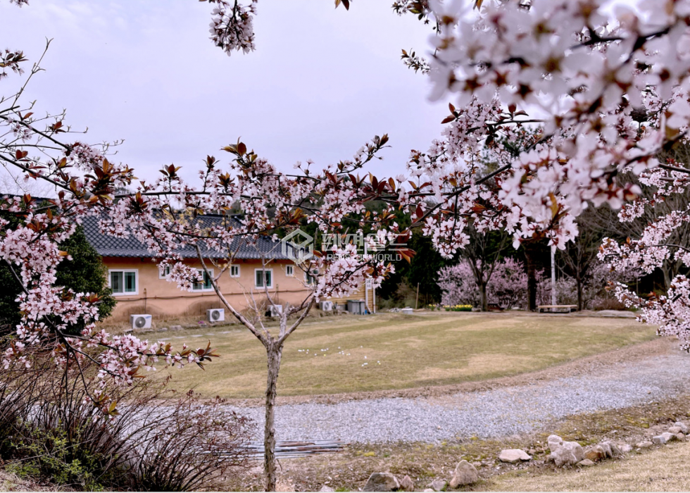 전남광주 장성군 서삼면 모암리 [장성군 서삼면 펜션매매]축령산 휴양림 모암지구내 매매 매물번호 11784 사진 4