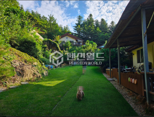 강원 고성군 거진읍 송포리 가,나동 [고성 펜션매매]임야포함 넓은토지면적 매물 매매 매물번호 12587 사진 6