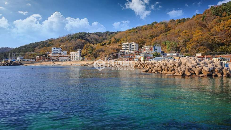 경북 영덕군 강구면 금진리 [ 영덕군 강구면 펜션임대] 연세 매물번호 10893 사진 1