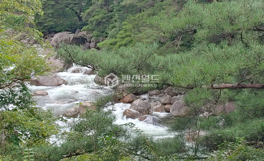 경남 함양군 마천면 추성리 [함양 펜션매매]한옥펜션매매매물 매매 매물번호 12233 사진 4