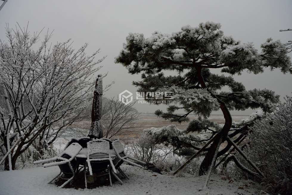 경기 안산단원구 선감동 [대부도 펜션매매]커플가족단체펜션운영가능매물 매매 매물번호 12625 사진 7
