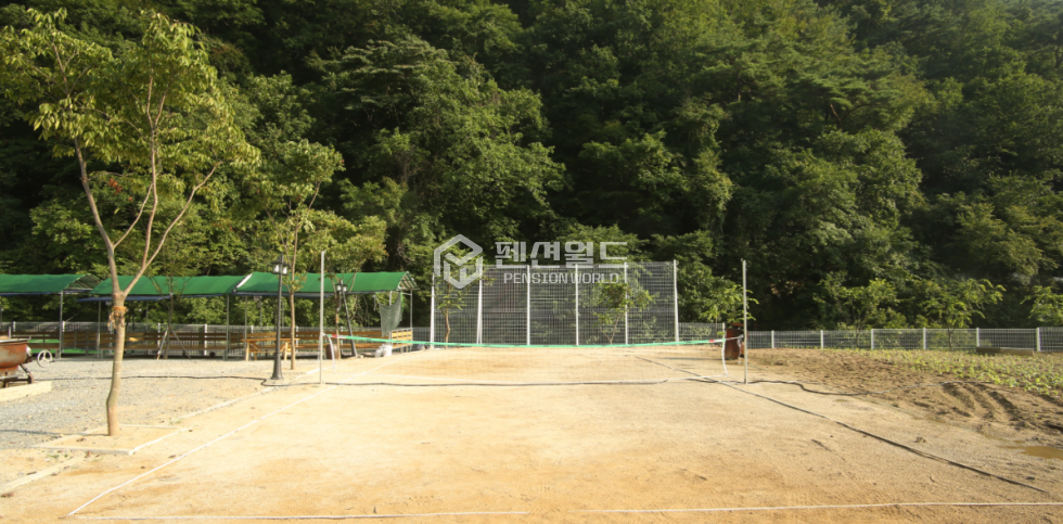 충북 제천시 봉양읍 명암리 [ 제천 캠핑장 매매] 매매 매물번호 10258 사진 7