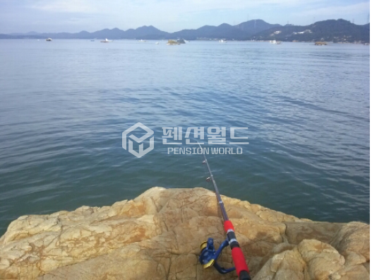 충남 서산시 팔봉면 호리 [서산 펜션매매] 바닷가바로앞 저렴한 매매가 매매 매물번호 12219 사진 2