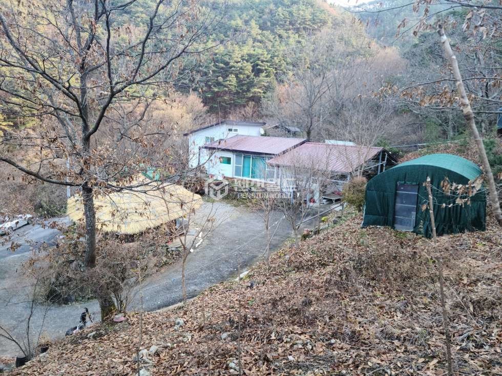 전남광주 구례군 문척면 죽마리 [구례 펜션매매]약7,000평 토지면적 건물2개동 매매 매물번호 13094 사진 3