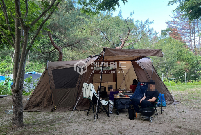 경기 포천시 신북면 심곡리 가동 [포천 캠핑장임대]사이트 39면 오토캠핑장 월세 매물번호 13005 사진 2