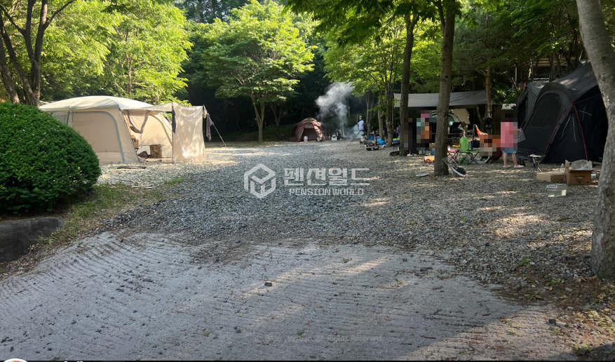 경기 포천시 신북면 심곡리 가동 [포천 캠핑장임대]사이트 39면 오토캠핑장 월세 매물번호 13005 사진 6