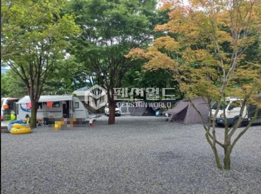 강원 영월군 무릉도원면 법흥리 [영월 캠핑장임대] 계곡입지 펜션+사이트18면 연세 매물번호 13176 사진 2