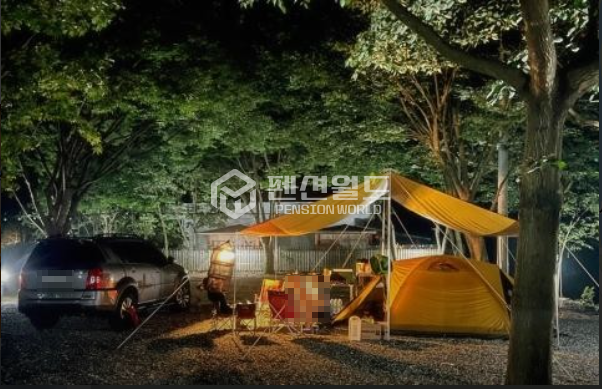 강원 영월군 무릉도원면 법흥리 [영월 캠핑장임대] 계곡입지 펜션+사이트18면 연세 매물번호 13176 사진 3